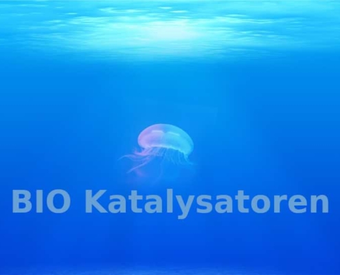 Bio Katalysatoren